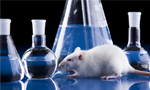 Target Organ toxicity / Immunotoxicity